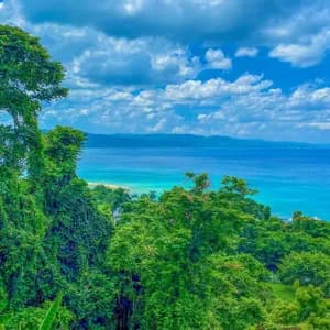 Une vue en hauteur sur une canopée verdoyante et luxuriante, vers une mer turquoise, une plage de sable et des montagnes lointaines sous un ciel bleu et nuageux.