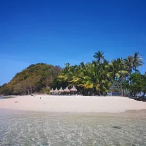 Vista dall'acqua limpida e poco profonda di un'isola tropicale con spiaggia di sabbia bianca, palme e una collina boscosa sotto un cielo blu.