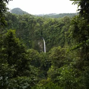A tall, narrow waterfall cascades down a cliff face in the center of a dense, lush green jungle under an overcast sky.