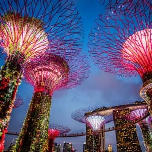 Tall, futuristic tree-like structures covered in plants and illuminated with pink and red lights against a city skyline at dusk.