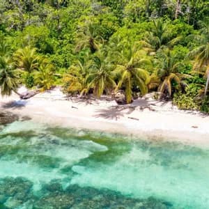 Una vista aerea di una spiaggia tropicale con sabbia bianca, palme e acqua cristallina turchese accanto a una giungla lussureggiante.