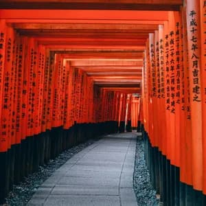 A stone pathway extends through a tunnel of closely packed, bright orange torii gates with Japanese calligraphy.