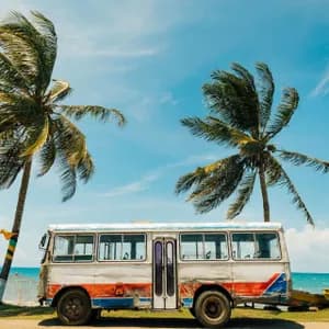 Un vecchio autobus parcheggiato su una strada accanto a una spiaggia tropicale, con due grandi palme che ondeggiano contro un cielo blu.