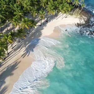Vista aerea di una spiaggia tropicale con acqua turchese che lambisce la sabbia bianca, delimitata da un denso palmeto.