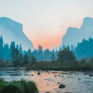 A rocky river flows through a pine forest with misty mountains in the background under a sunset sky.