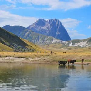 Un viaggio di gruppo WeRoad presso un lago di montagna, con mucche nell'acqua e un'imponente cima rocciosa sullo sfondo.