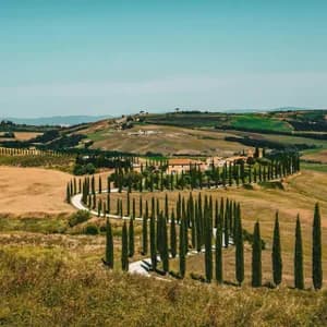 Una strada tortuosa costeggiata da alti cipressi si snoda tra le dolci colline toscane verso un casale sotto un limpido cielo azzurro.