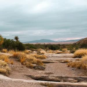 A dry, rocky wash with yellow grass and yucca plants winds through a desert landscape toward distant mountains under a cloudy sky.