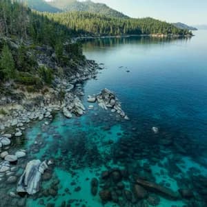 Aerial view of a rocky shoreline with clear, turquoise water showing submerged boulders beside a dense pine forest.