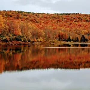 A dense forest with red and orange autumn leaves on a hillside is reflected in a calm lake under an overcast sky.