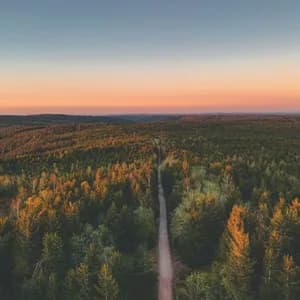 Vista aerea di una strada sterrata che serpeggia in una vasta foresta sempreverde sotto un tramonto colorato.