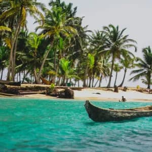 A wooden canoe floats on turquoise water, with a sandy beach and a dense grove of palm trees in the background.