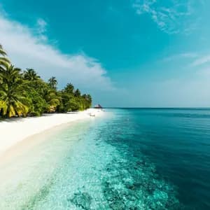Vista aerea di una spiaggia tropicale con sabbia bianca, palme e acqua cristallina turchese.