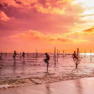 Un grupo de pescadores encaramados en zancos en el océano poco profundo, sosteniendo cañas de pescar bajo un vibrante atardecer rosa y naranja.