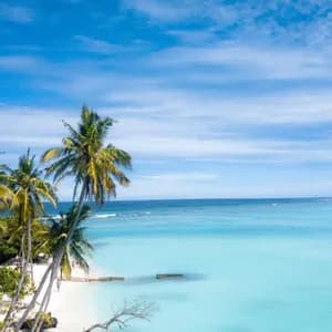Maldives Beach Life: Snorkelling and Relaxing in Vaavu Atoll