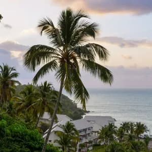 Jamaïque Beach Life – Cascades, Reggae & Routes du Café