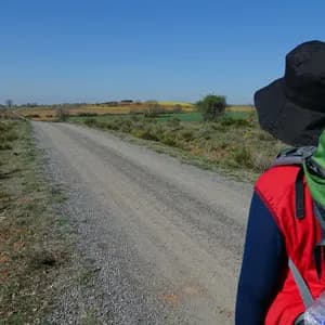 Una persona con uno zaino e una conchiglia del Cammino di Santiago cammina su una strada sterrata attraverso un paesaggio rurale.