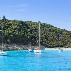 Diverse barche a vela bianche galleggiano su acque calme e turchesi in una baia, con una collina verde lussureggiante sullo sfondo.