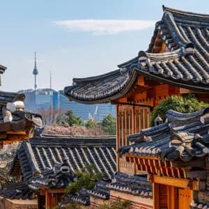 Uno scorcio sui tradizionali tetti coreani, con uno skyline cittadino moderno e una torre delle comunicazioni visibili in lontananza.