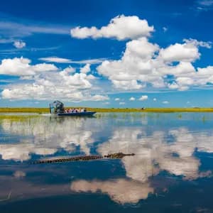 Un gruppo WeRoad a bordo di un airboat naviga in una palude, con un alligatore che nuota in primo piano sotto un cielo azzurro nuvoloso.
