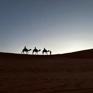 Silhouetten einer WeRoad-Gruppe auf einer Kamelkarawane über einer großen Sanddüne vor klarem Dämmerungshimmel.