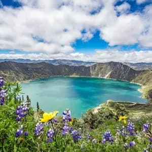 Vue plongeante sur un lac turquoise dans un cratère volcanique, avec des fleurs sauvages violettes et jaunes au premier plan.