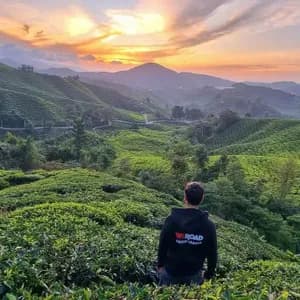 Un capogruppo WeRoad, in felpa nera, guarda le dolci colline verdi di una piantagione di tè al tramonto.