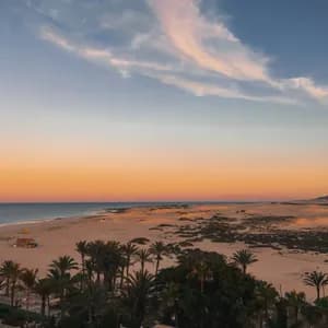Paesaggio di una spiaggia di sabbia e dune che costeggiano l'oceano, con palme in primo piano al tramonto.
