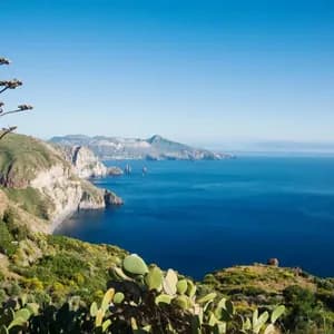 Una pianta di agave e fichi d'India su una verde collina che domina una costa ripida e rocciosa e un mare blu intenso.