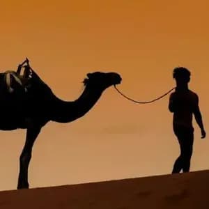 Silhouette einer Person, die ein Kamel über eine Sanddüne vor einem leuchtend orangefarbenen Himmel führt.