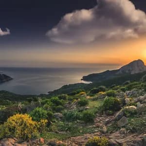 Una costa rocciosa e verde scende verso il mare sotto un cielo nuvoloso al tramonto.