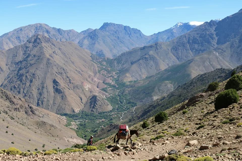 A person leads a pack donkey along a rocky trail overlooking a vast mountain valley with snow-capped peaks in the distance.
