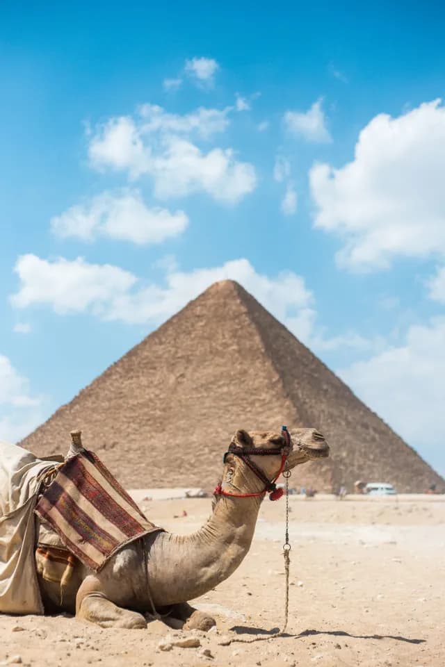 Un cammello sellato riposa sulla sabbia con una grande piramide sullo sfondo sotto un cielo azzurro e nuvoloso.