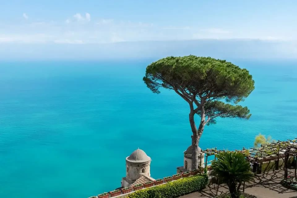 Un gran pino piñonero en una terraza acantilada con vistas a un mar turquesa y una torreta de piedra debajo.