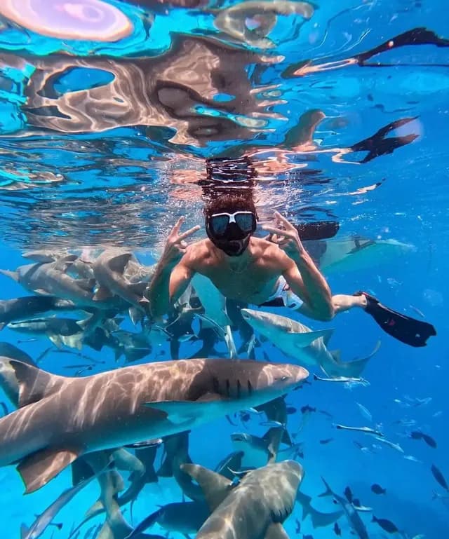 Un hiver bien au chaud