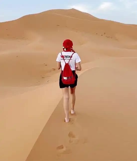 Trips under €/£1,000