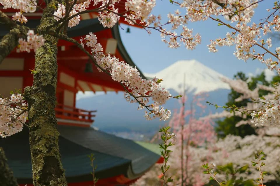 Cherry blossom branches in the foreground frame a view of a red pagoda with a snow-capped mountain in the background.