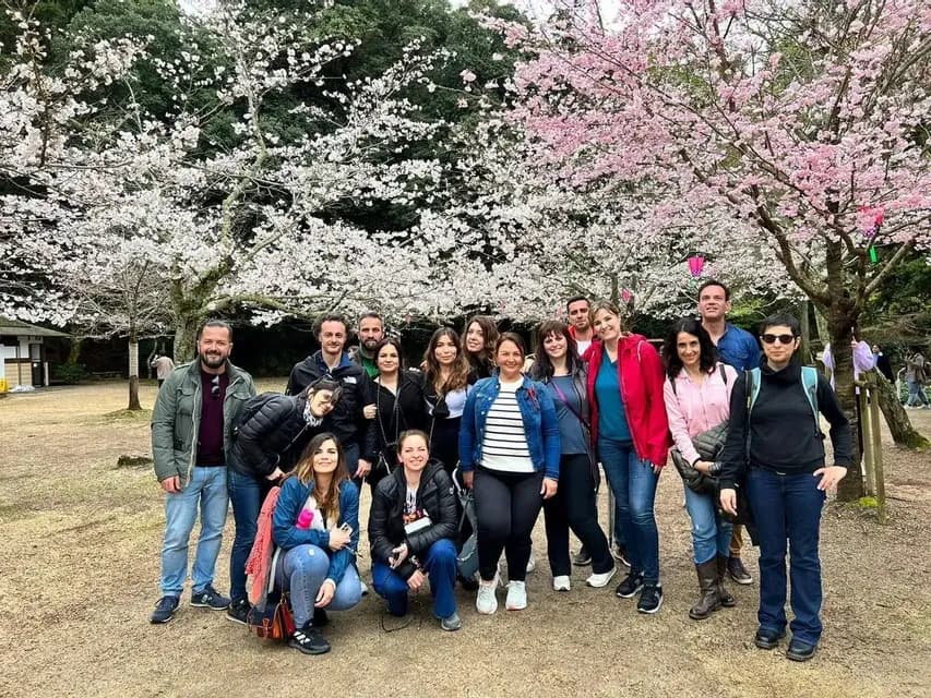 A WeRoad group trip posing for a photo in a park with pink and white cherry blossom trees in full bloom.
