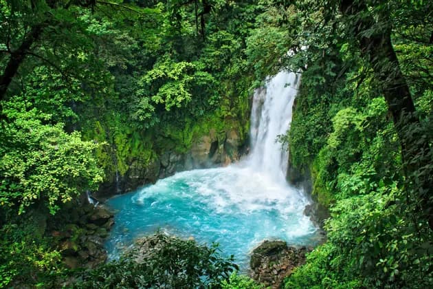 A waterfall cascades into a turquoise pool surrounded by a lush green rainforest.