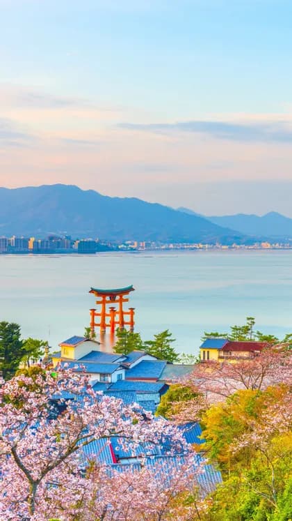Un torii rosso si erge nel mare, con ciliegi in fiore e case tradizionali in primo piano e montagne in lontananza.