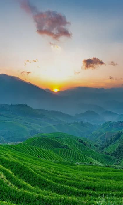 Vibranti terrazze di riso verdi su dolci colline con il sole che tramonta dietro montagne lontane sotto un cielo crepuscolare