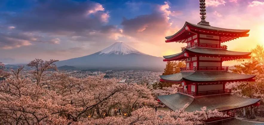 Una pagoda roja domina una ciudad desde una colina cubierta de cerezos en flor, con una montaña nevada en la distancia al atardecer.