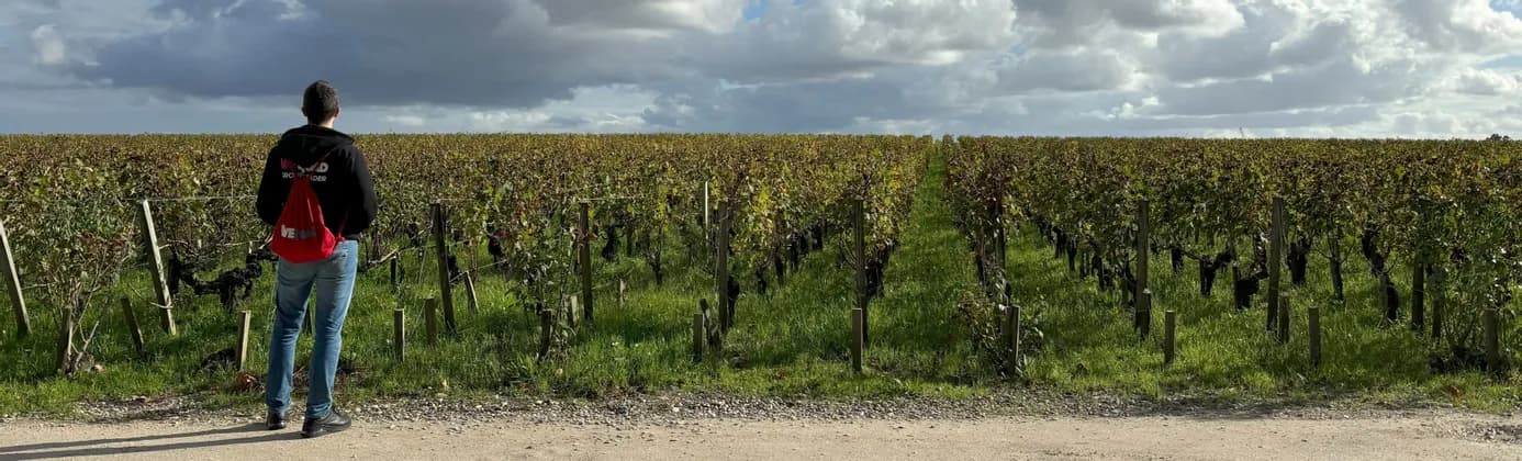 Una persona de espaldas está de pie en un camino de tierra, contemplando hileras de viñedos bajo un cielo nublado.