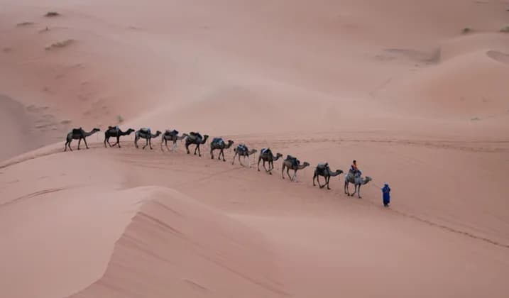Un viaje en grupo de WeRoad cruza vastas dunas de arena del desierto en caravana de camellos, avanzando en fila india.