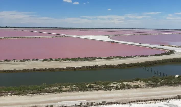 Une vue aérienne de vastes salines roses sectionnées par des chemins blancs, avec un canal vert au premier plan sous un ciel bleu.