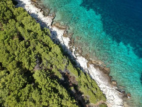 Vista aérea de una costa rocosa bordeada por un bosque verde, con gente nadando en el mar turquesa cristalino.