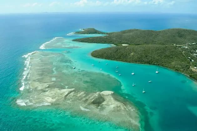 Una vista aerea di barche a vela ancorate in una baia turchese accanto a un'isola verde con una barriera corallina visibile.
