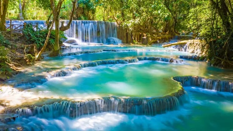 Ein mehrstufiger Wasserfall mit türkisfarbenem Wasser stürzt über Kalksteinbecken in einem üppigen, grünen Wald.