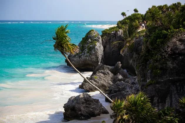 A palm tree leans out from a rocky, verdant cliff over a white sand beach with turquoise water.
