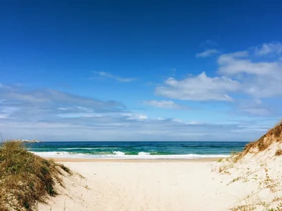 Un sentiero sabbioso tra due dune erbose si apre su una spiaggia con dolci onde oceaniche sotto un cielo blu con nuvole sparse.